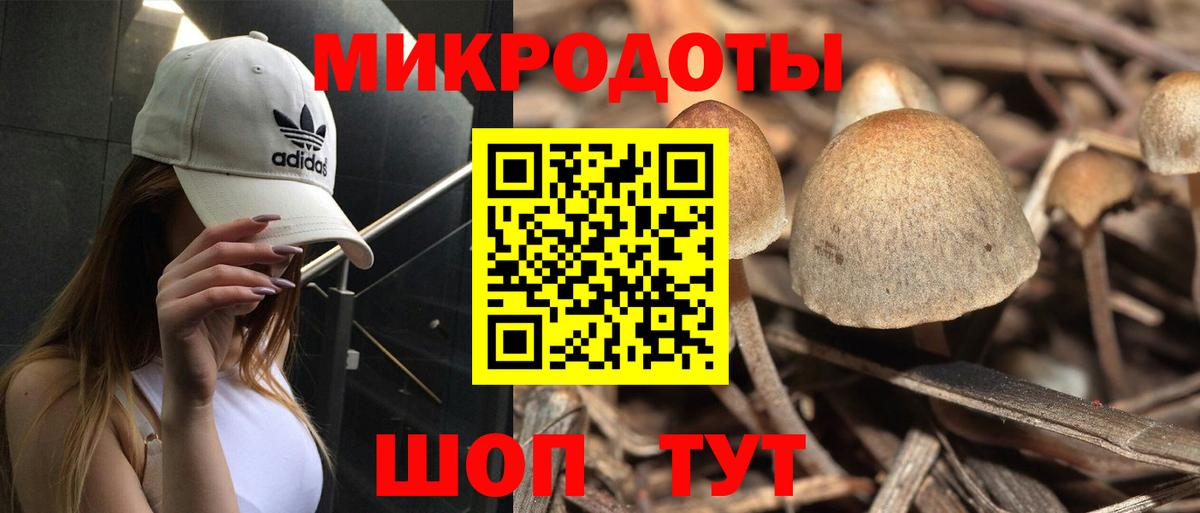 Елизово  Галлюциногенные грибы Cubensis  дарнет шоп  Вход с VPN 